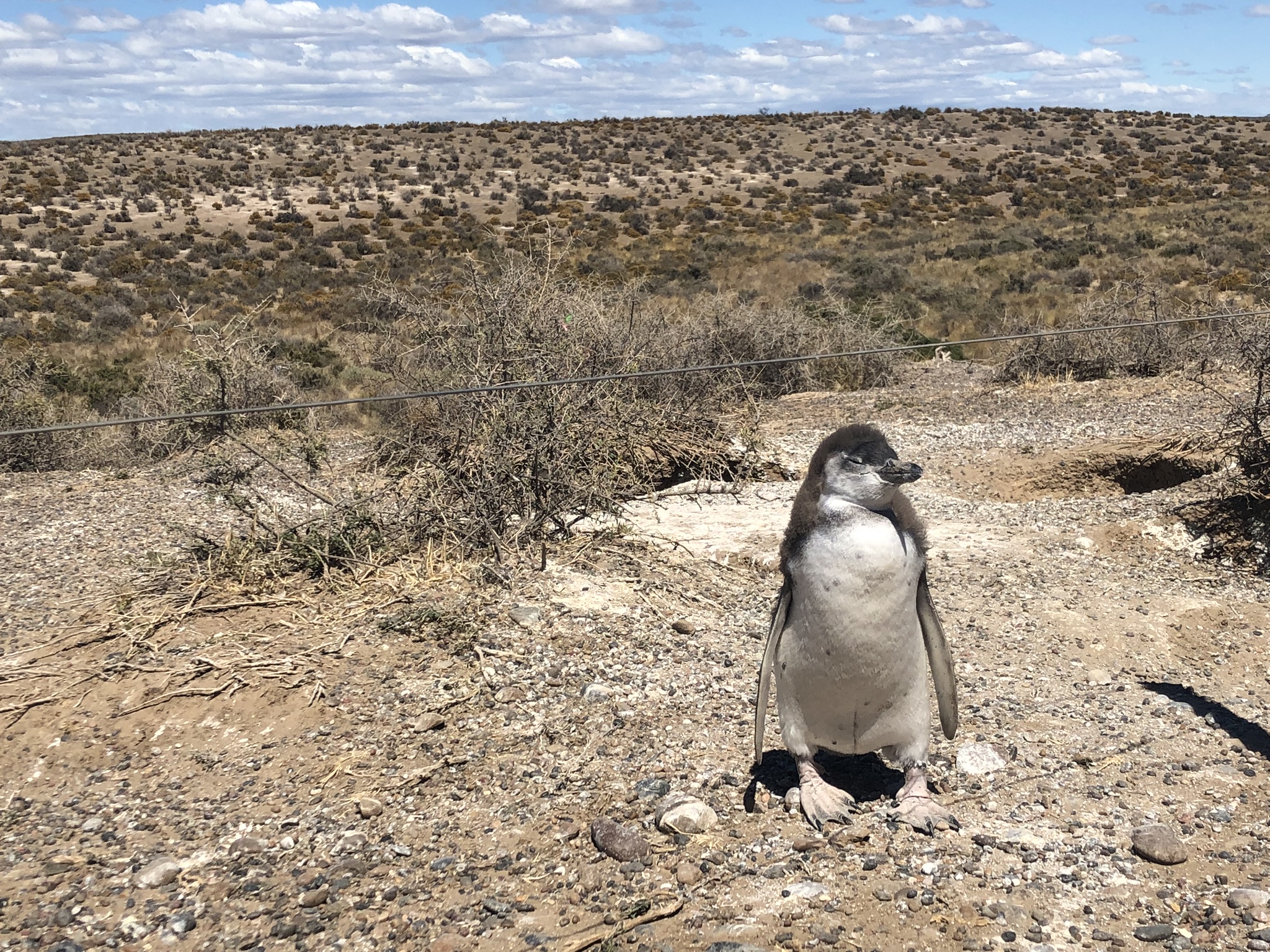 2B534D57-7791-4740-868D-3976E4679AB3