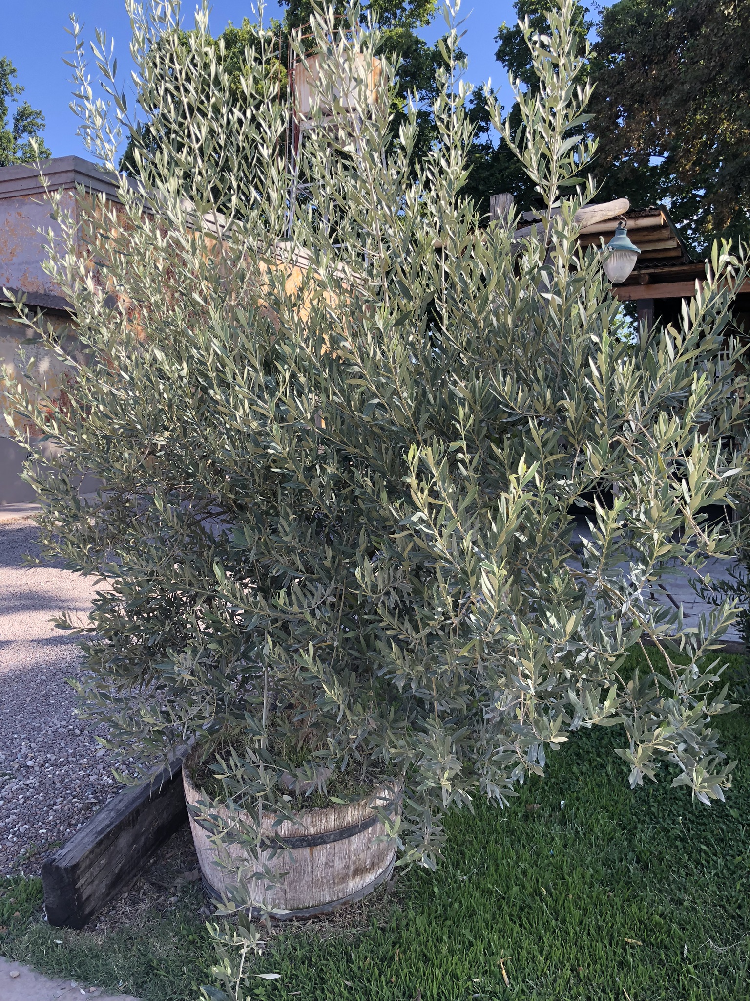 3E16B011-F104-4D07-960C-50BF9604F3E5