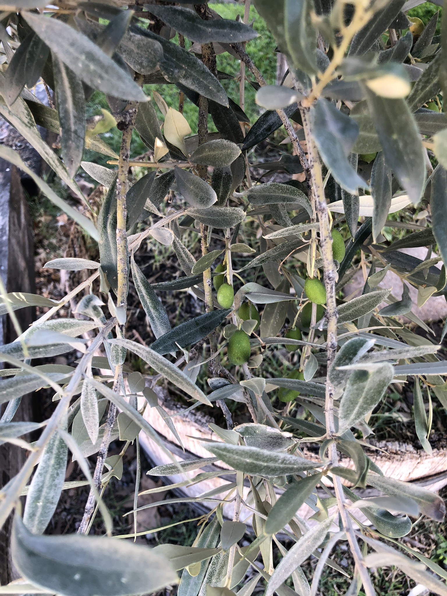 5CD3B104-A8A9-43A6-99F4-685E7B1D086F