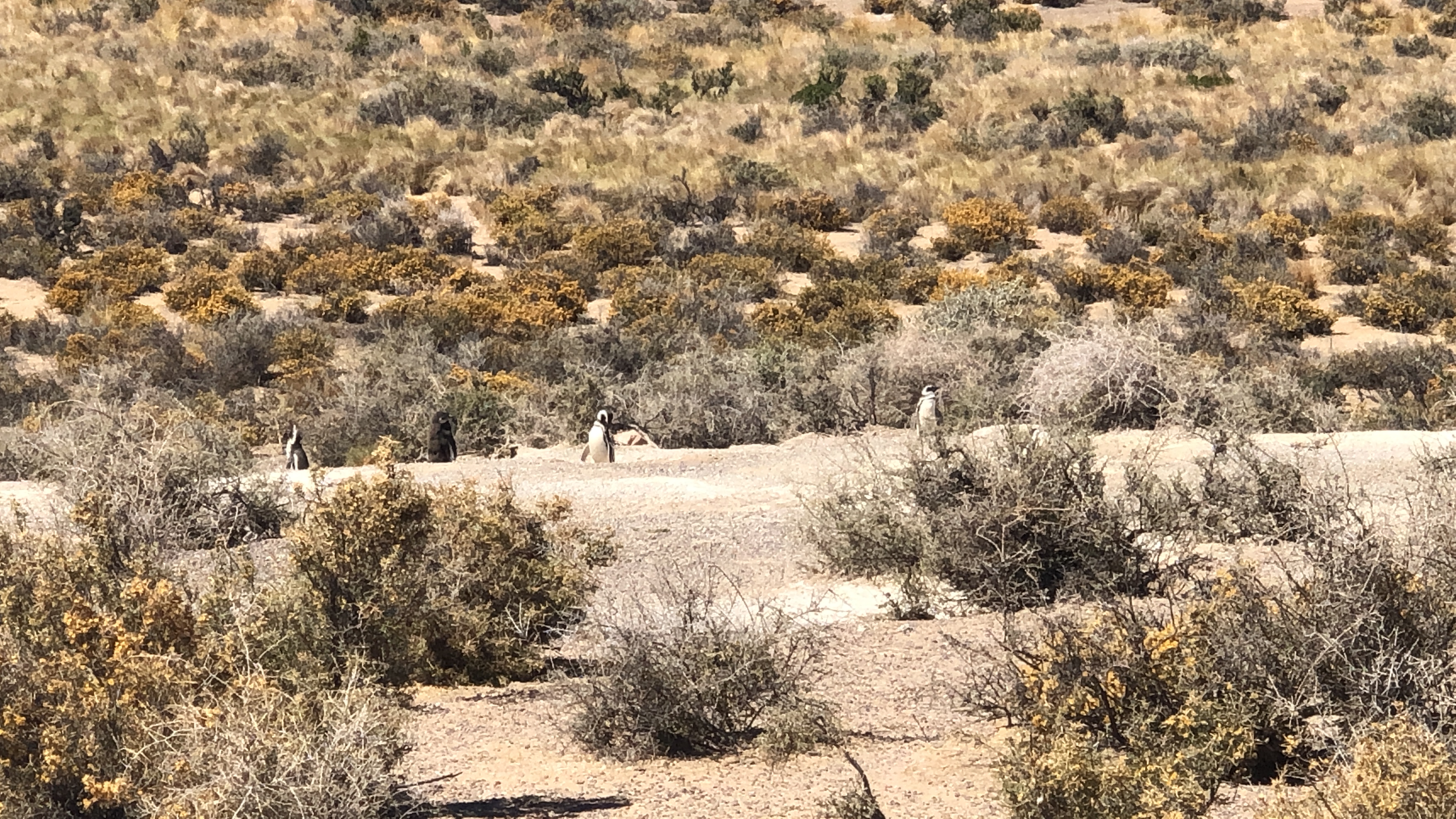 B682822B-6C5B-4AED-8D34-51150FD68682